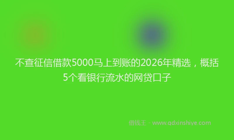 不查征信借款5000马上到账的2026年精选,概括5个看银行流水的网贷口子