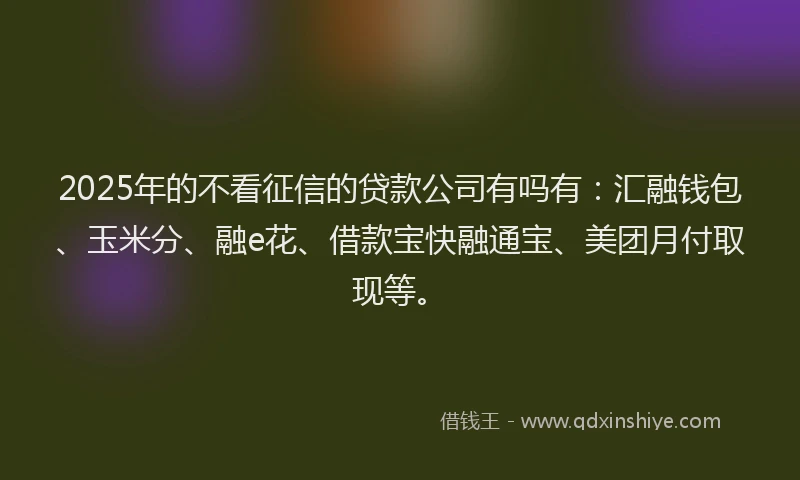 2025年的不看征信的贷款公司有吗有:汇融钱包、玉米分、融e花、借款宝快融通宝、美团月付取现等。