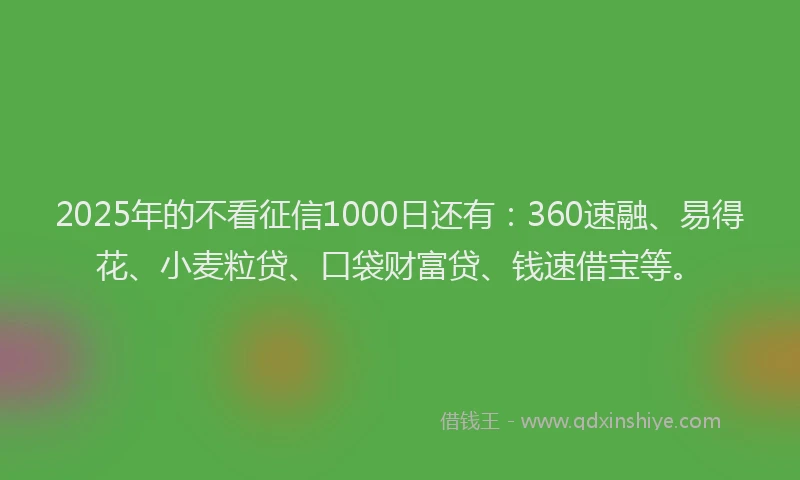 2025年的不看征信1000日还有：360速融、易得花、小麦粒贷、口袋财富贷、钱速借宝等。