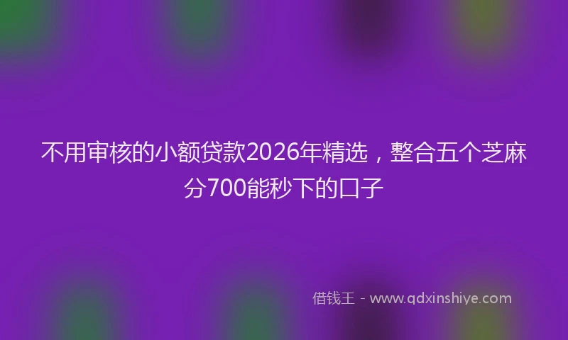 不用审核的小额贷款2026年精选，整合五个芝麻分700能秒下的口子