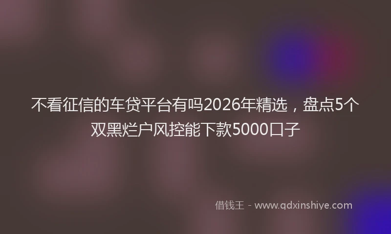 不看征信的车贷平台有吗2026年精选，盘点5个双黑烂户风控能下款5000口子