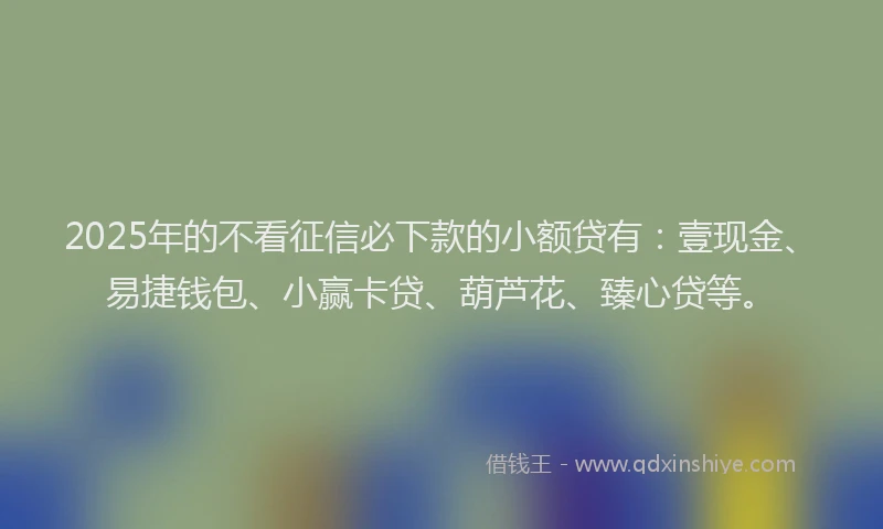 2025年的不看征信必下款的小额贷有：壹现金、易捷钱包、小赢卡贷、葫芦花、臻心贷等。