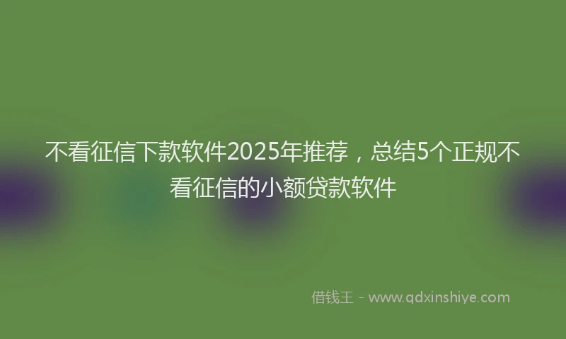 不看征信下款软件2025年推荐，总结5个正规不看征信的小额贷款软件