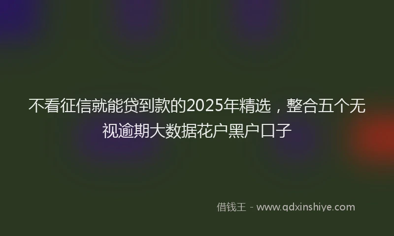 不看征信就能贷到款的2025年精选，整合五个无视逾期大数据花户黑户口子