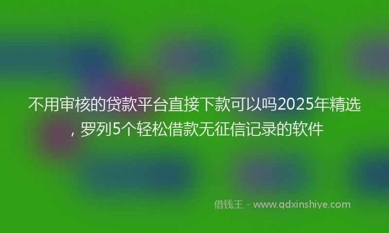 不用审核的贷款平台直接下款可以吗2025年精选，罗列5个轻松借款无征信记录的软件