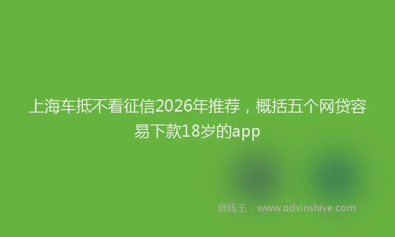 上海车抵不看征信2026年推荐，概括五个网贷容易下款18岁的app