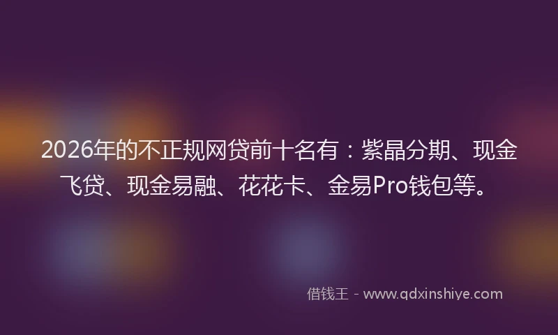 2026年的不正规网贷前十名有：紫晶分期、现金飞贷、现金易融、花花卡、金易Pro钱包等。