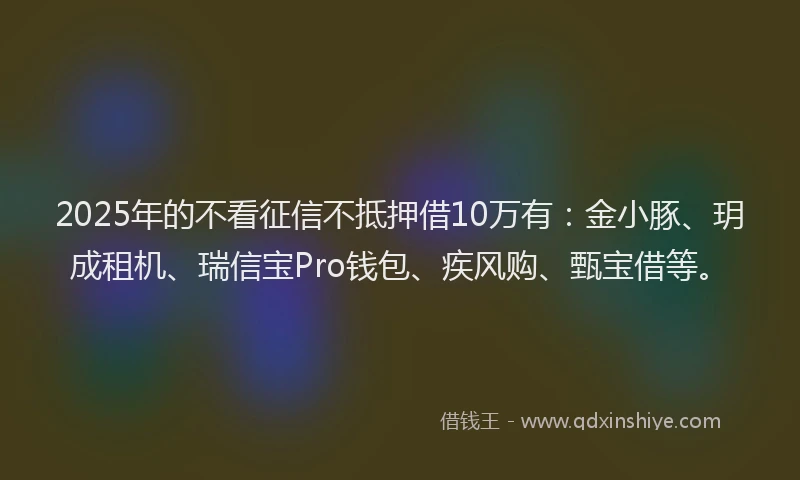 2025年的不看征信不抵押借10万有：金小豚、玥成租机、瑞信宝Pro钱包、疾风购、甄宝借等。
