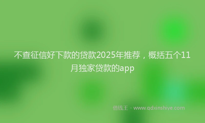 不查征信好下款的贷款2025年推荐,概括五个11月独家贷款的app