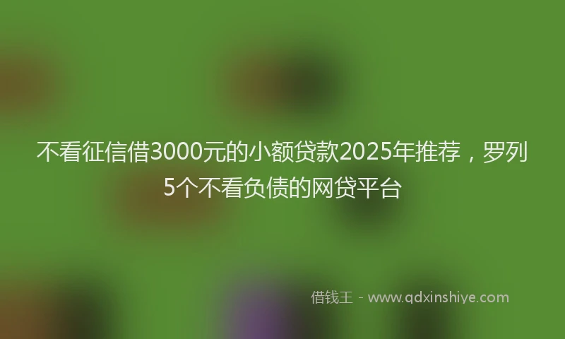 不看征信借3000元的小额贷款2025年推荐，罗列5个不看负债的网贷平台