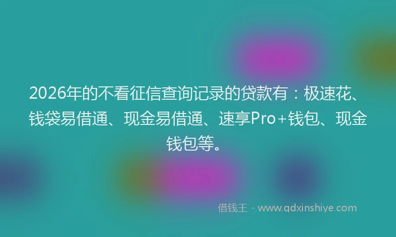 2026年的不看征信查询记录的贷款有：极速花、钱袋易借通、现金易借通、速享Pro+钱包、现金钱包等。