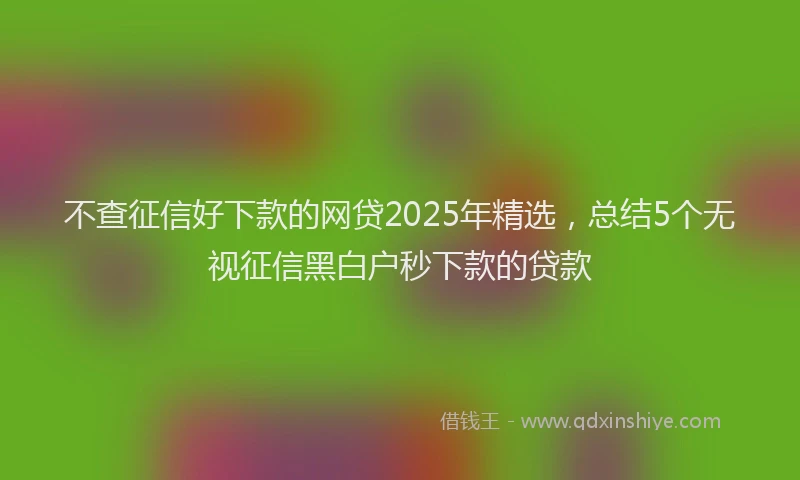 不查征信好下款的网贷2025年精选，总结5个无视征信黑白户秒下款的贷款