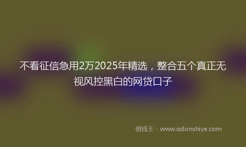 不看征信急用2万2025年精选，整合五个真正无视风控黑白的网贷口子