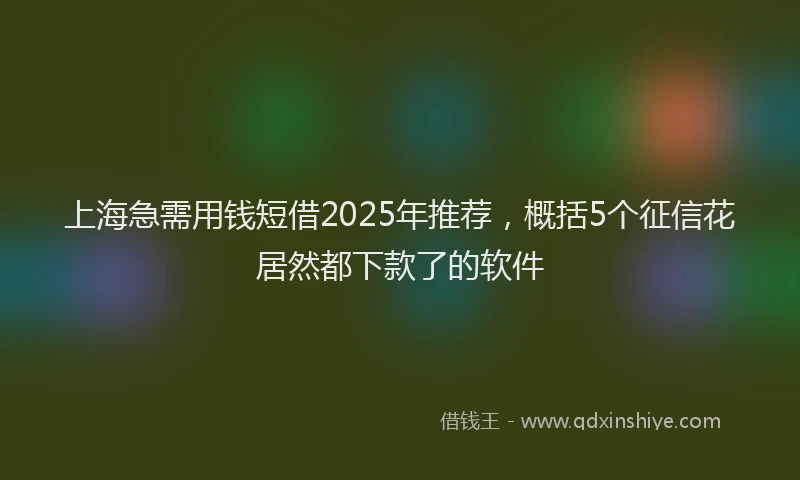上海急需用钱短借2025年推荐，概括5个征信花居然都下款了的软件