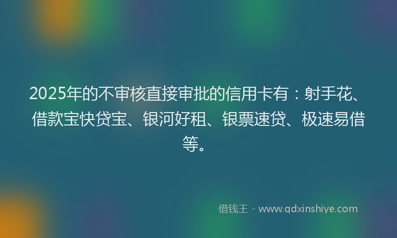 2025年的不审核直接审批的信用卡有：射手花、借款宝快贷宝、银河好租、银票速贷、极速易借等。