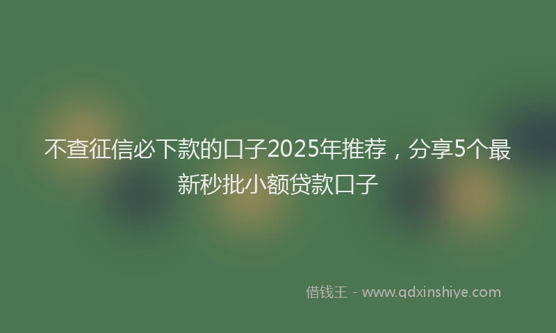 不查征信必下款的口子2025年推荐,分享5个最新秒批小额贷款口子