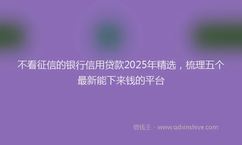 不看征信的银行信用贷款2025年精选，梳理五个最新能下来钱的平台