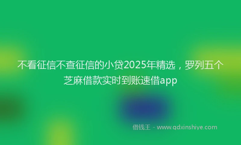 不看征信不查征信的小贷2025年精选，罗列五个芝麻借款实时到账速借app