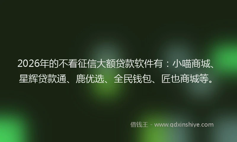 2026年的不看征信大额贷款软件有：小喵商城、星辉贷款通、鹿优选、全民钱包、匠也商城等。