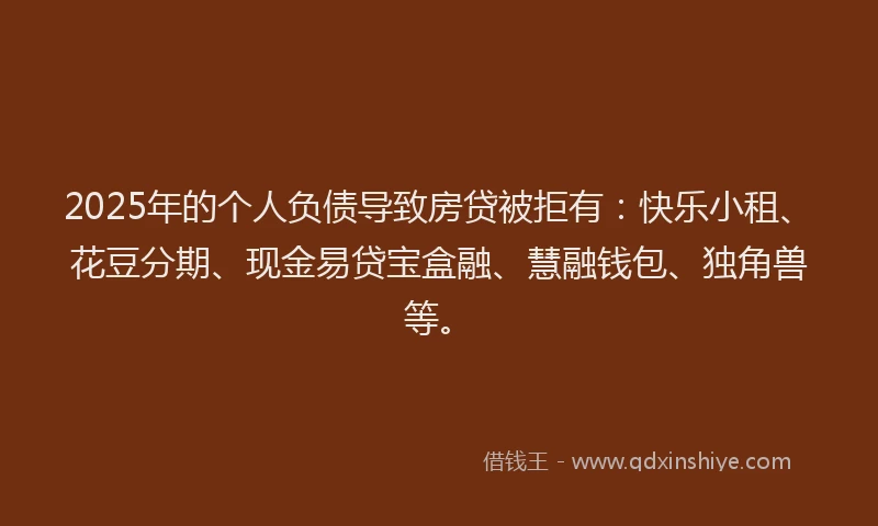 2025年的个人负债导致房贷被拒有：快乐小租、花豆分期、现金易贷宝盒融、慧融钱包、独角兽等。