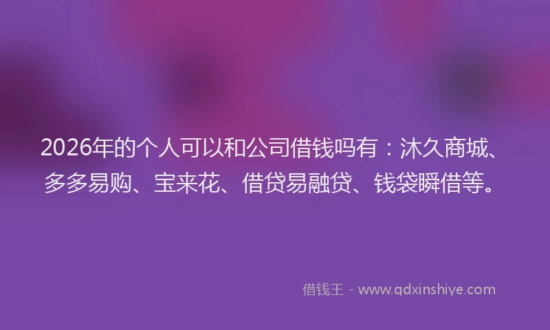 2026年的个人可以和公司借钱吗有：沐久商城、多多易购、宝来花、借贷易融贷、钱袋瞬借等。