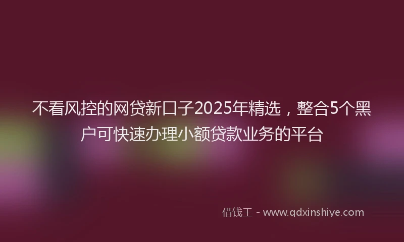 不看风控的网贷新口子2025年精选，整合5个黑户可快速办理小额贷款业务的平台