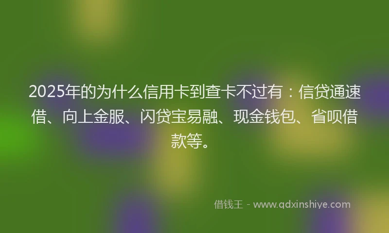 2025年的为什么信用卡到查卡不过有：信贷通速借、向上金服、闪贷宝易融、现金钱包、省呗借款等。