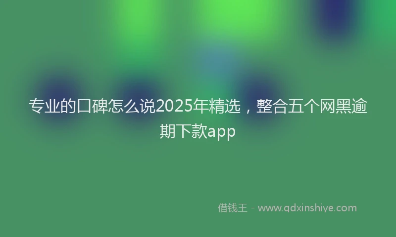 专业的口碑怎么说2025年精选,整合五个网黑逾期下款app