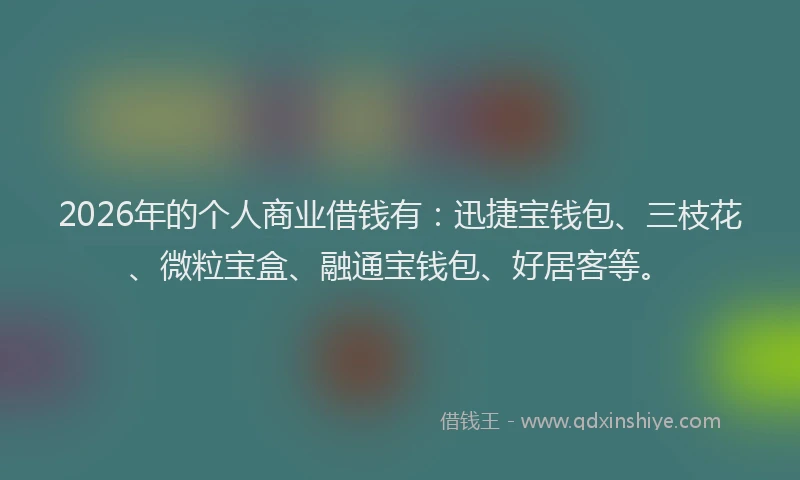 2026年的个人商业借钱有：迅捷宝钱包、三枝花、微粒宝盒、融通宝钱包、好居客等。