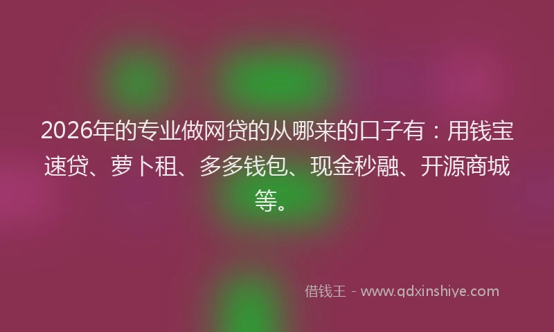2026年的专业做网贷的从哪来的口子有:用钱宝速贷、萝卜租、多多钱包、现金秒融、开源商城等。
