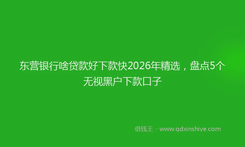 东营银行啥贷款好下款快2026年精选，盘点5个无视黑户下款口子