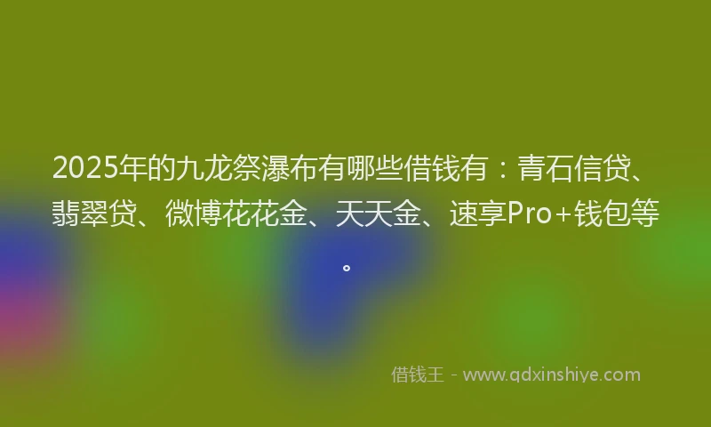 2025年的九龙祭瀑布有哪些借钱有：青石信贷、翡翠贷、微博花花金、天天金、速享Pro+钱包等。
