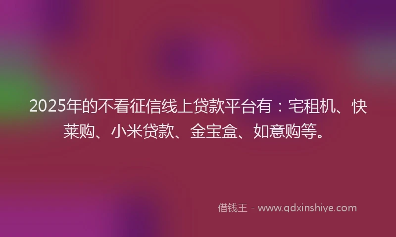 2025年的不看征信线上贷款平台有：宅租机、快莱购、小米贷款、金宝盒、如意购等。