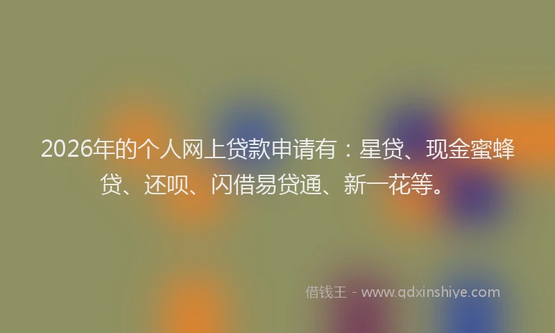 2026年的个人网上贷款申请有：星贷、现金蜜蜂贷、还呗、闪借易贷通、新一花等。