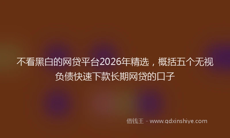 不看黑白的网贷平台2026年精选，概括五个无视负债快速下款长期网贷的口子