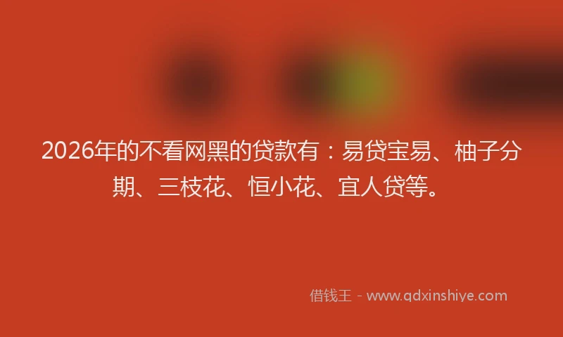 2026年的不看网黑的贷款有：易贷宝易、柚子分期、三枝花、恒小花、宜人贷等。