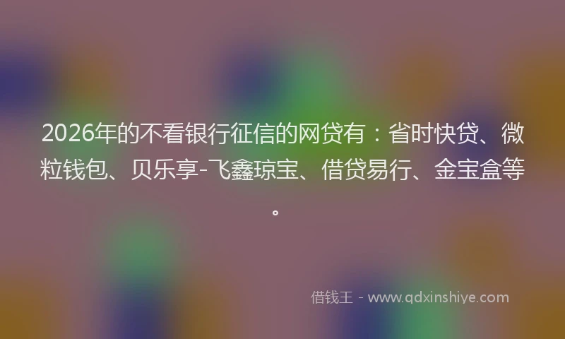 2026年的不看银行征信的网贷有：省时快贷、微粒钱包、贝乐享-飞鑫琼宝、借贷易行、金宝盒等。