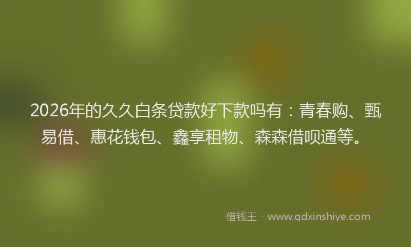 2026年的久久白条贷款好下款吗有:青春购、甄易借、惠花钱包、鑫享租物、森森借呗通等。