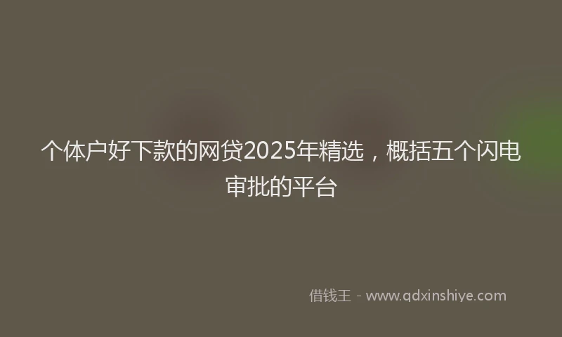 个体户好下款的网贷2025年精选，概括五个闪电审批的平台