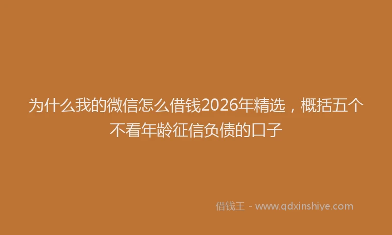 为什么我的微信怎么借钱2026年精选，概括五个不看年龄征信负债的口子