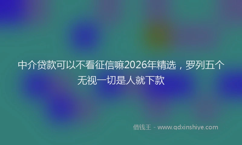 中介贷款可以不看征信嘛2026年精选，罗列五个无视一切是人就下款