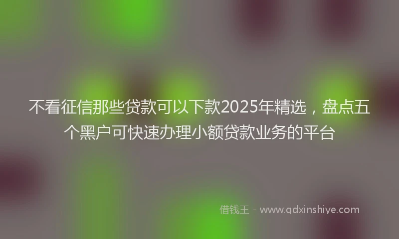 不看征信那些贷款可以下款2025年精选，盘点五个黑户可快速办理小额贷款业务的平台
