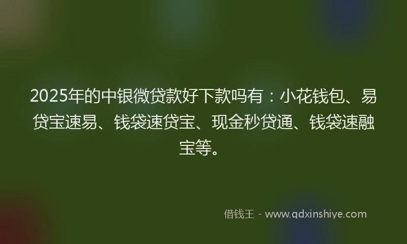 2025年的中银微贷款好下款吗有:小花钱包、易贷宝速易、钱袋速贷宝、现金秒贷通、钱袋速融宝等。