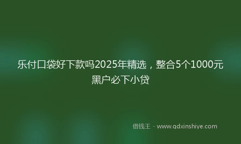 乐付口袋好下款吗2025年精选，整合5个1000元黑户必下小贷