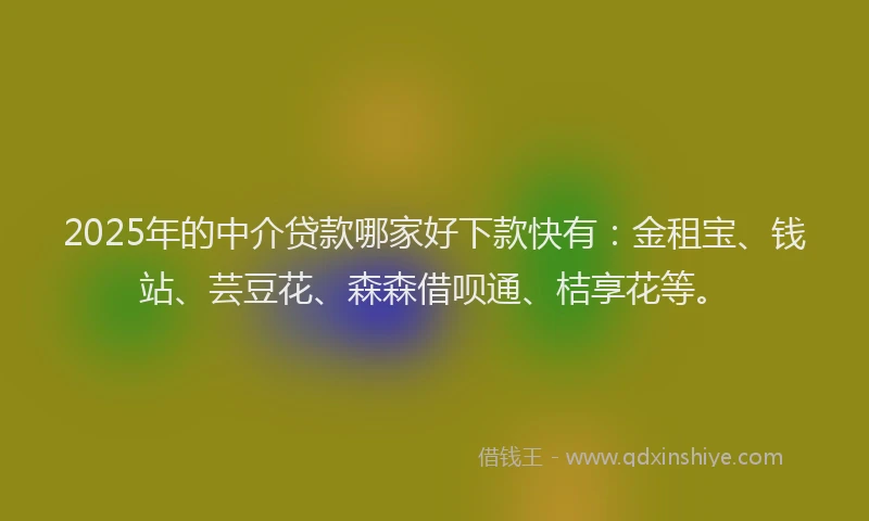 2025年的中介贷款哪家好下款快有:金租宝、钱站、芸豆花、森森借呗通、桔享花等。