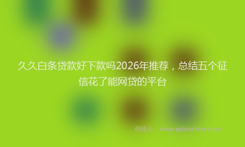 久久白条贷款好下款吗2026年推荐，总结五个征信花了能网贷的平台
