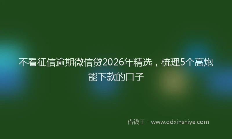 不看征信逾期微信贷2026年精选，梳理5个高炮能下款的口子