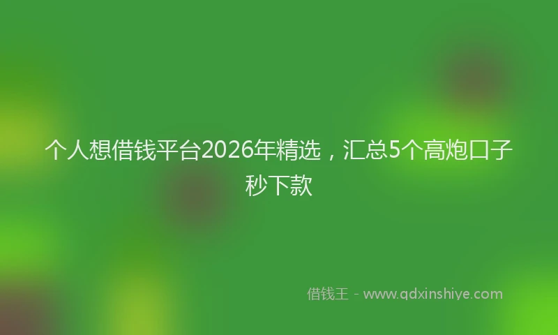 个人想借钱平台2026年精选，汇总5个高炮口子秒下款