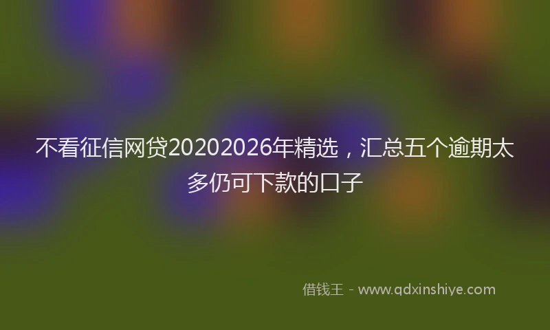 不看征信网贷20202026年精选，汇总五个逾期太多仍可下款的口子