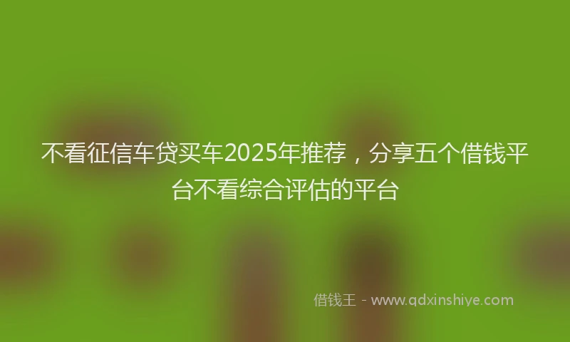 不看征信车贷买车2025年推荐，分享五个借钱平台不看综合评估的平台
